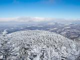 Camels Hump 022